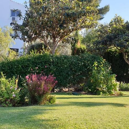 Los Geranios - Beach Apartment ลากาลาเดมิฮาส ภายนอก รูปภาพ